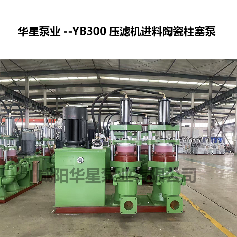 YB300壓濾機進料陶瓷柱塞泵